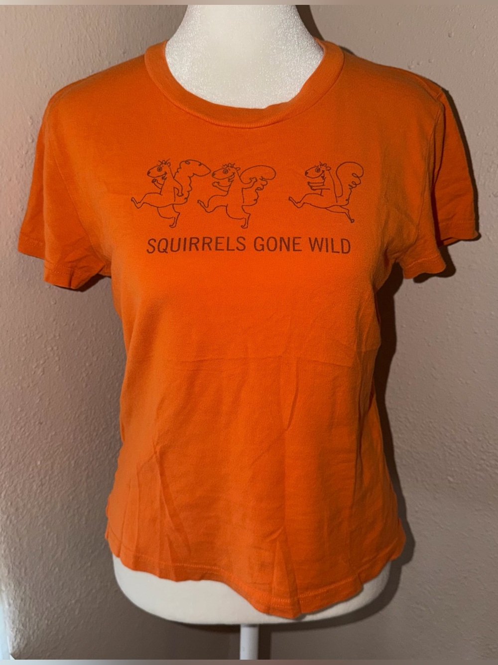 Vintage Y2K Abercrombie & Fitch 2000s Squirrels Gone Wild Baby Tee